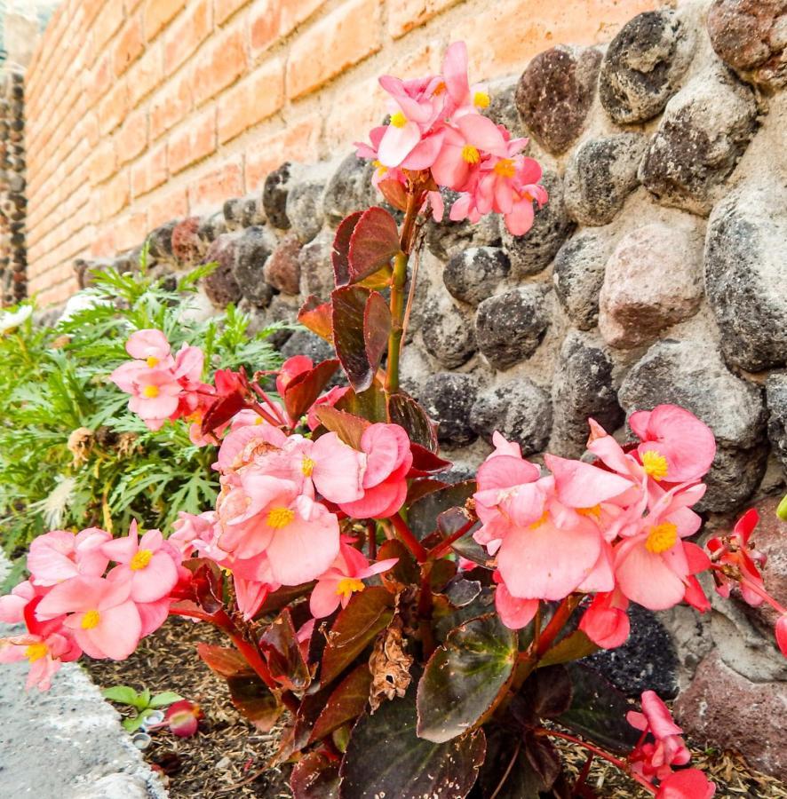 Pampa Garden Quillullaco Exterior foto