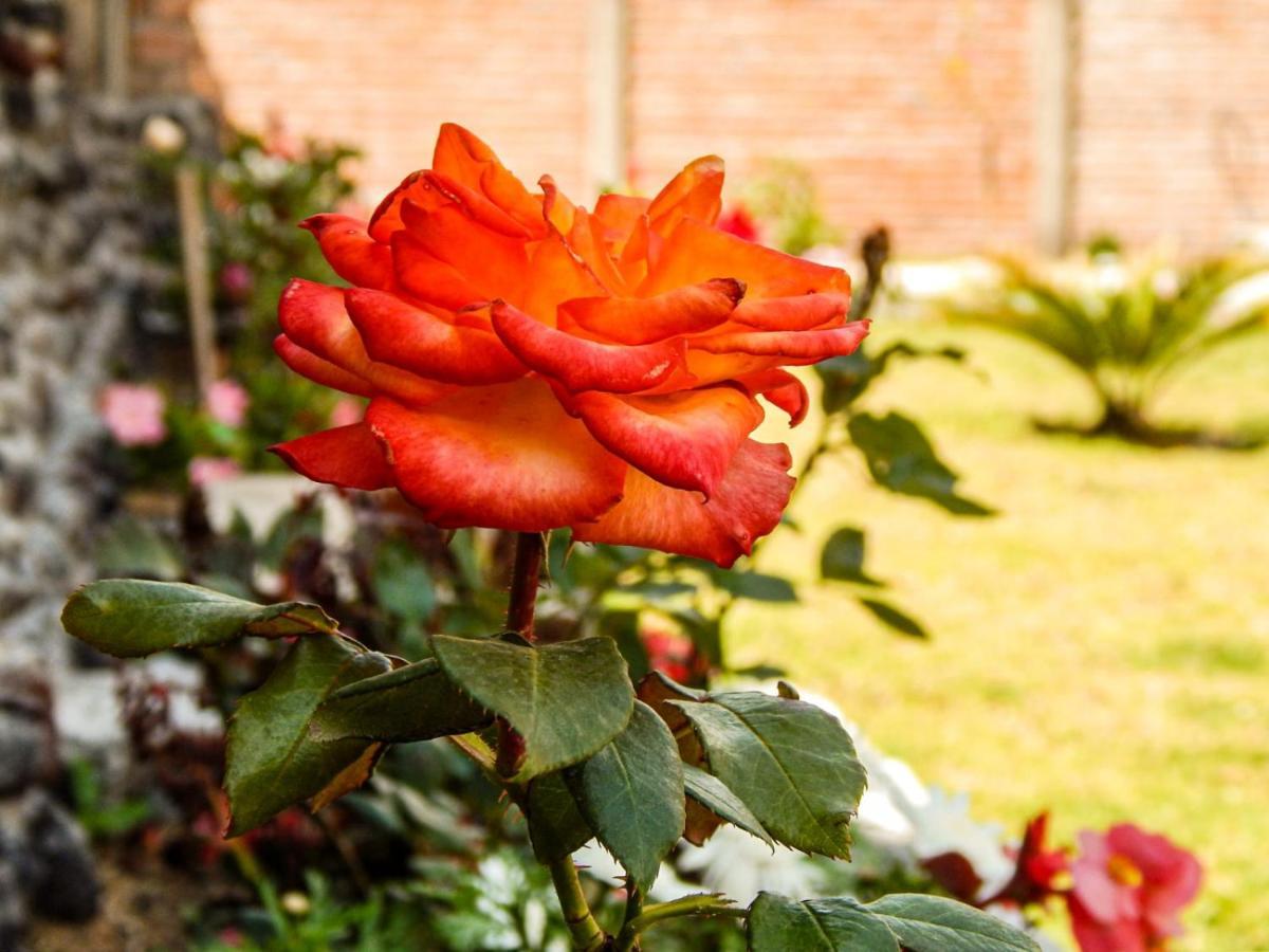 Pampa Garden Quillullaco Exterior foto